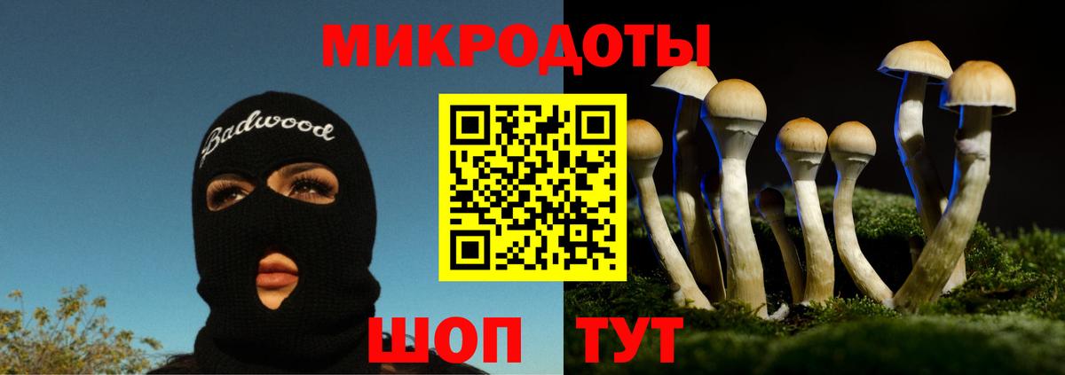 Псилоцибиновые грибы прущие грибы Гуково